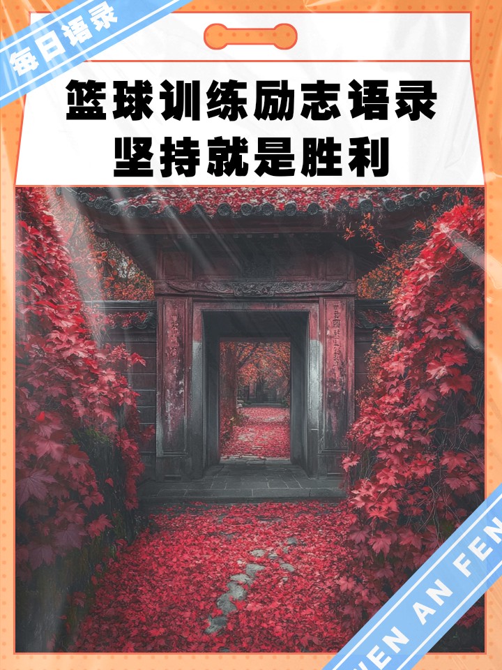 哪里有针对业余爱好者的篮球训练策略_2